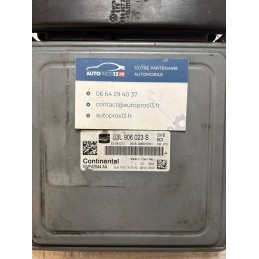 CAYB  PCR2.1  ECU...