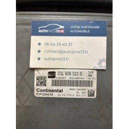H13 CAYB  PCR2.1 ECU...