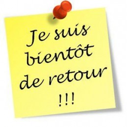 ECU CALCULATEUR DE MOTEUR A...