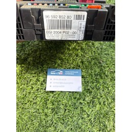 P02-00 BSI2004 BSI MODULE...