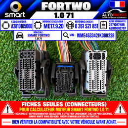 CONNECTEUR FICHE FAISCEAU...