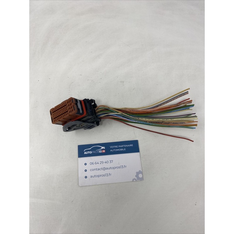 CONNECTEUR FICHE FAISCEAU CÂBLAGE PLUG ECU DE CALCULATEUR MOTEUR