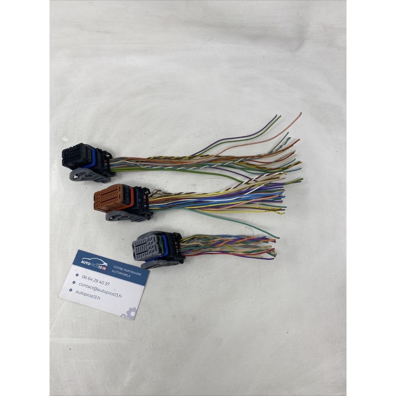 CONNECTEUR FICHE FAISCEAU CÂBLAGE PLUG ECU DE CALCULATEUR MOTEUR