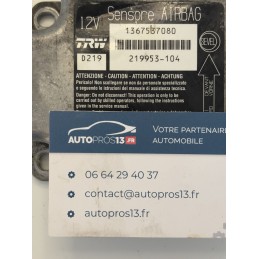 D219 ECU CALCULATEUR...