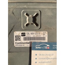CAYB  PCR2.1  ECU...