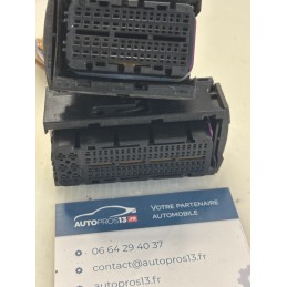 CAYC  PCR2.1  CONNECTEUR...